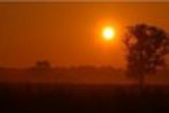Sunstroke call outs prompt heatwave warning